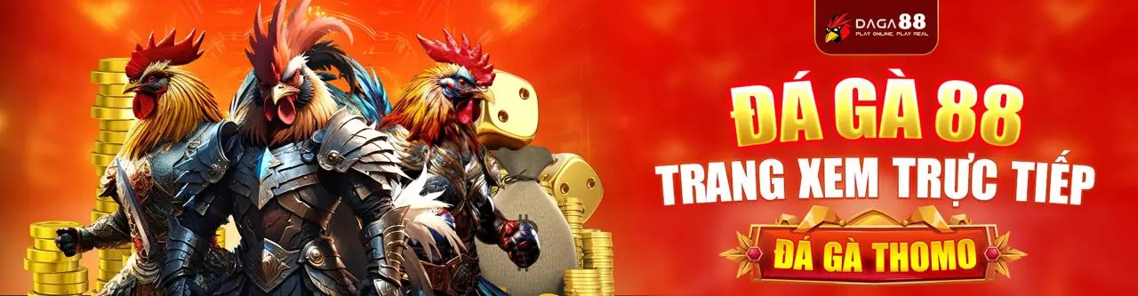 Quy trình trở thành đối tác S666me